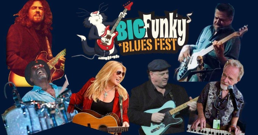 Big Funky Blues Fest Music Cafe Tribute Band